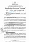 Vista preliminar de documento RDR N° 000987-2025-DRELP