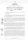Vista preliminar de documento RDR N° 000988-2025-DRELP