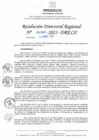 Vista preliminar de documento RDR N° 000989-2025-DRELP
