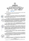 Vista preliminar de documento RDR N° 000990-2025-DRELP