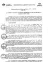 Vista preliminar de documento RGG_N°055-2025
