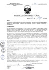 Vista preliminar de documento R.D. Nº 221-2025