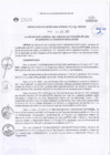 Vista preliminar de documento RSG N°116-2020