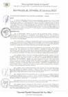Vista preliminar de documento RA_133_2025_MDI