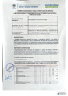 Vista preliminar de documento TDR_ALMACENAR_HITOS_Y_PANELES