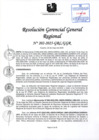 Vista preliminar de documento RGGR 202-2025-GRL-GGR