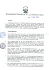 Vista preliminar de documento RD 113-2025-MIDAGRI-PEJSIB-DE