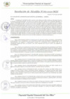 Vista preliminar de documento RA_160_2025_MDI