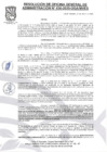Vista preliminar de documento RESOLUCION N°050-2025