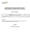 Vista preliminar de documento Resultado Final
