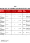 Vista preliminar de documento ANEXO_MATRIZ PDP 2025_modificación