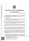 Vista preliminar de documento RDR-1550-2025-DRELM