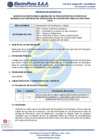 Vista preliminar de documento TDR - APOYO PARA ELABORACIÓN DE PROCEDIMIENTOS INTERNOS