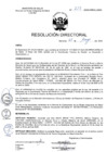 Vista preliminar de documento R.D. Nº 213-2025
