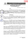 Vista preliminar de documento RD-095-2025-GRSM-DRTC-DTT