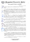 Vista preliminar de documento RESOLUCIÓN DE ALCALDIA N° 335-2025-MPA