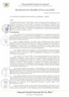 Vista preliminar de documento RA_167_2025_MDI