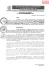 Vista preliminar de documento RD-102-2025-GRSM-DRTC-DTT