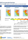 Vista preliminar de documento boletinITH240525