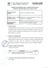 Vista preliminar de documento TDR_SERVICIO_DE_LAVADO_DE_TAPIZON_IICONV