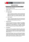 Vista preliminar de documento TDR