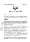 Vista preliminar de documento R.D. Nº 206-2025