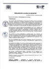 Vista preliminar de documento R.A N° 041-2025-MDSMP