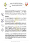 Vista preliminar de documento RESOLUCION N°596