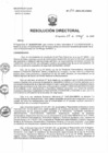 Vista preliminar de documento RD N°133-2025-DG-HNHU