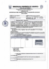 Vista preliminar de documento E.T N 1733