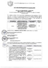 Vista preliminar de documento ACTA DE ADJUDICACIÓN DE LA BUENA PRO