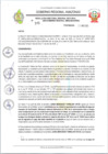 Vista preliminar de documento RESOLUCION N°595