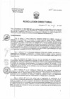 Vista preliminar de documento RD N°135-2025-DG-HNHU