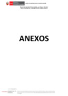 Vista preliminar de documento ANEXO N  01