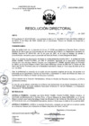Vista preliminar de documento R.D. Nº 196-2025