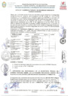 Vista preliminar de documento I Audiencia Publica Seguridad Ciudadana 2025