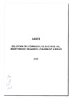 Vista preliminar de documento Bases para la selección del corredor de seguros del MIDAGRI - 2025