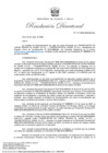 Vista preliminar de documento RD-111