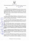 Vista preliminar de documento Resolucion 191