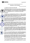 Vista preliminar de documento RA. Nº 094-2025-MPL