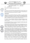 Vista preliminar de documento 234-2025-MPJA