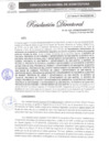 Vista preliminar de documento RD 230-2025
