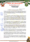 Vista preliminar de documento Ordenanza Municipal N° 005-2025-CM-MDP