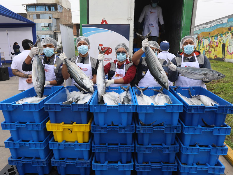 Más de 21 mil usuarios de ollas y comedores de Villa el Salvador se benefician con entrega de pescado
