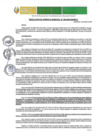 Vista preliminar de documento RGM-299-2025-GM-MPLC