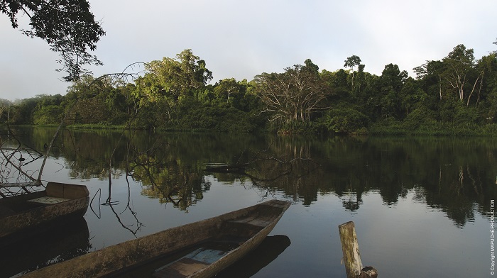 anp amazonia