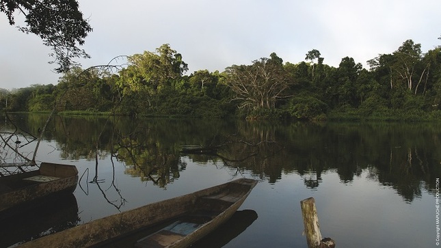 anp amazonia