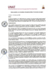 Vista preliminar de documento Resolución de Comisión Organizadora N° 235-2025-CO-UNAT