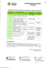 Vista preliminar de documento 003 CRONOGRAMA Y ETAPAS CAS 002-2025-MPP