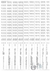 Vista preliminar de documento R.D. Nº 228-2025 POI MULTIANUAL 2026-2028_Parte5